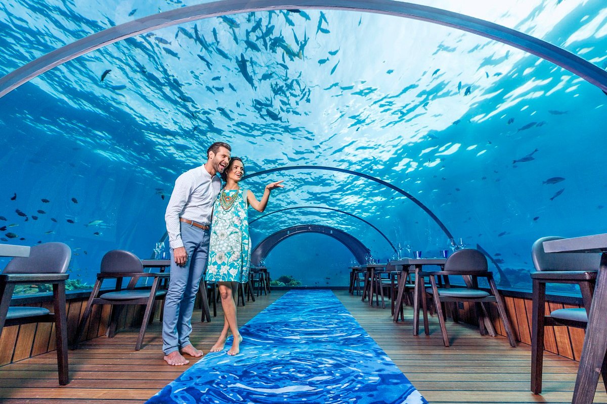 maldives all inclusive undersea restaurant