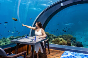 maldives underwater dinner. Maldives all inclusive.